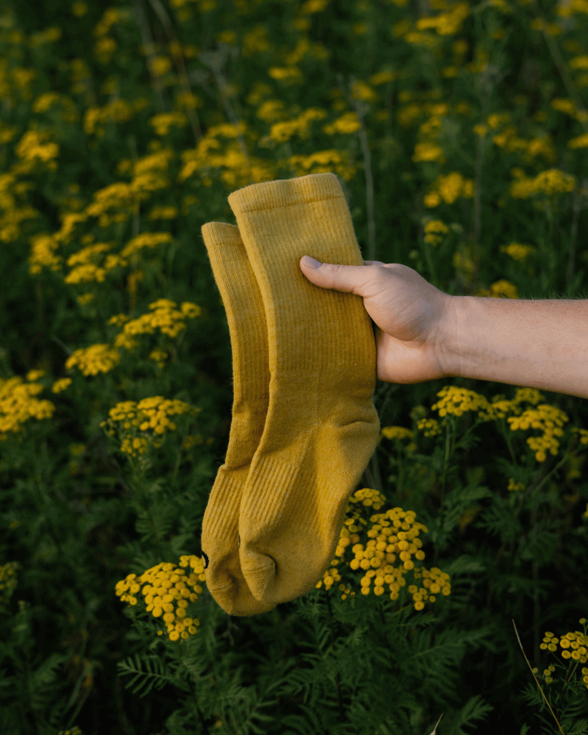 The Casual Socks