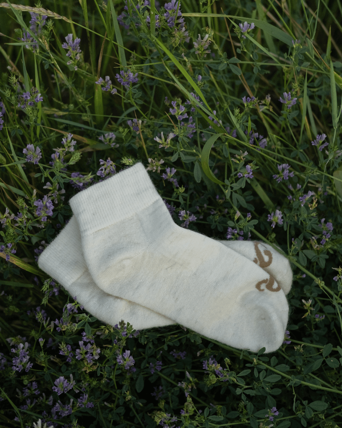 The Casual Ankle Sock