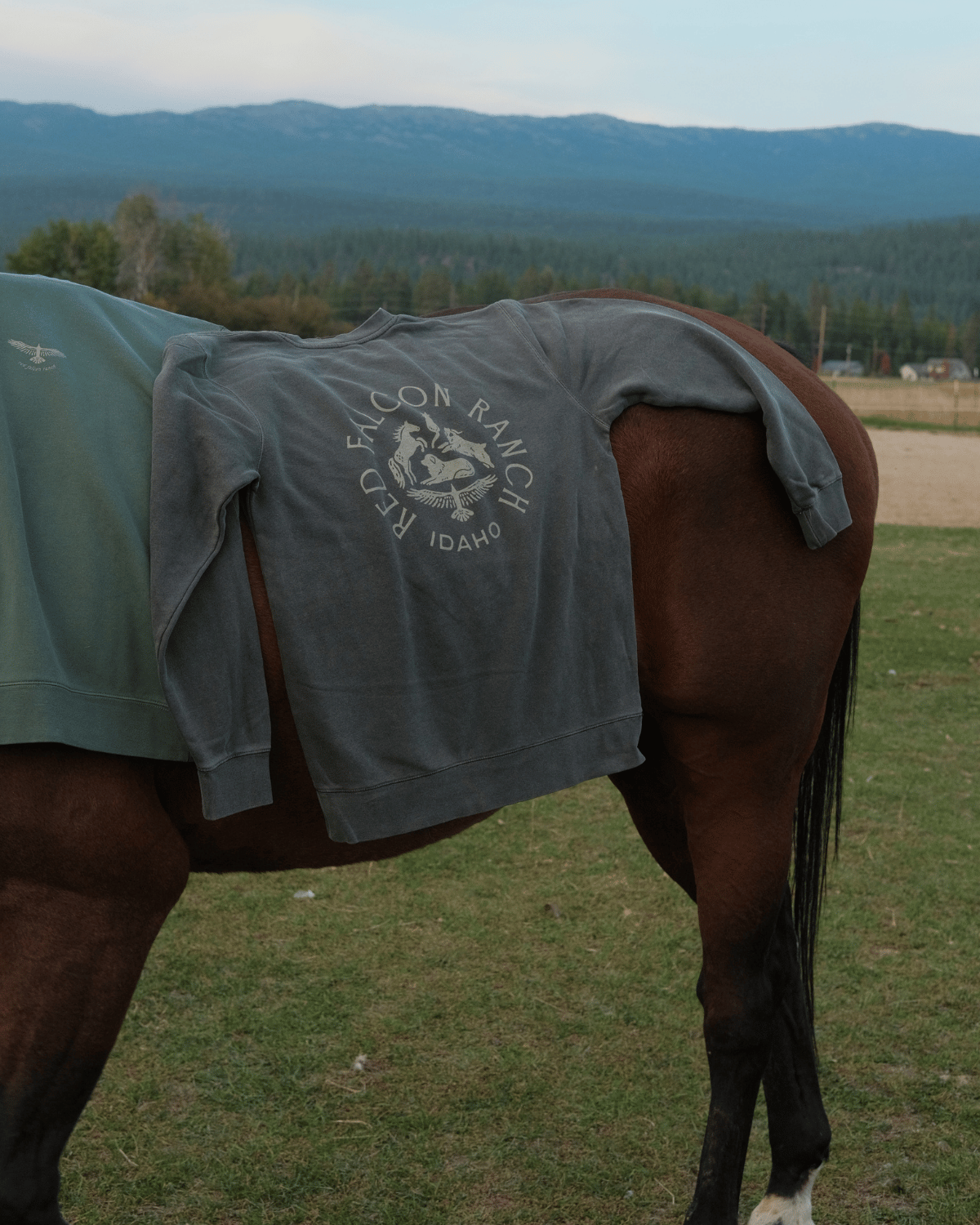 The Ranch Crewneck