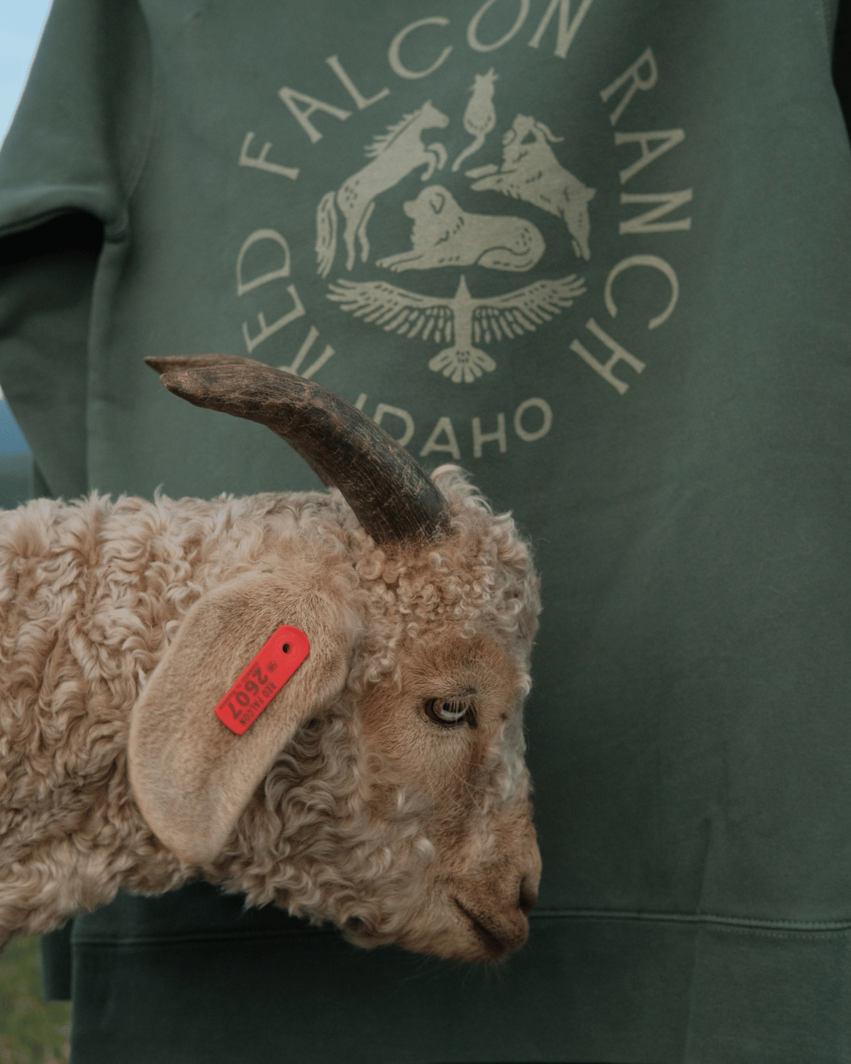 The Ranch Crewneck