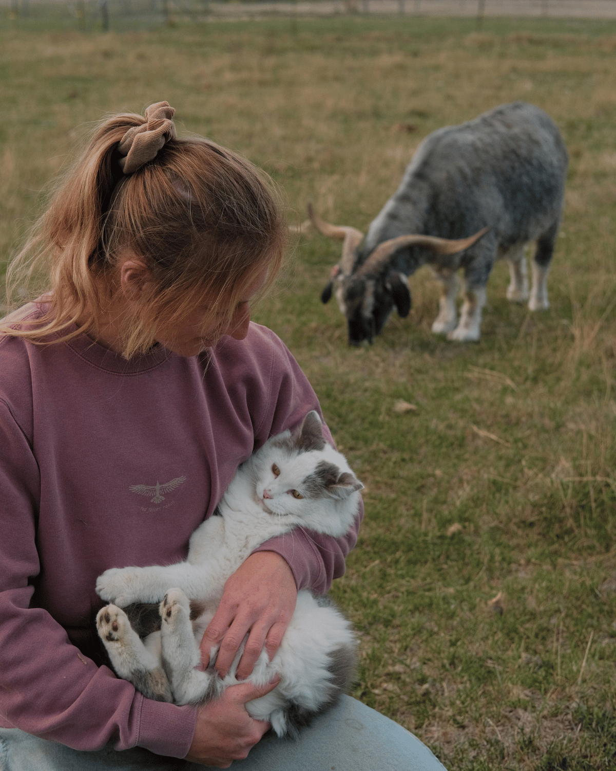 The Ranch Crewneck