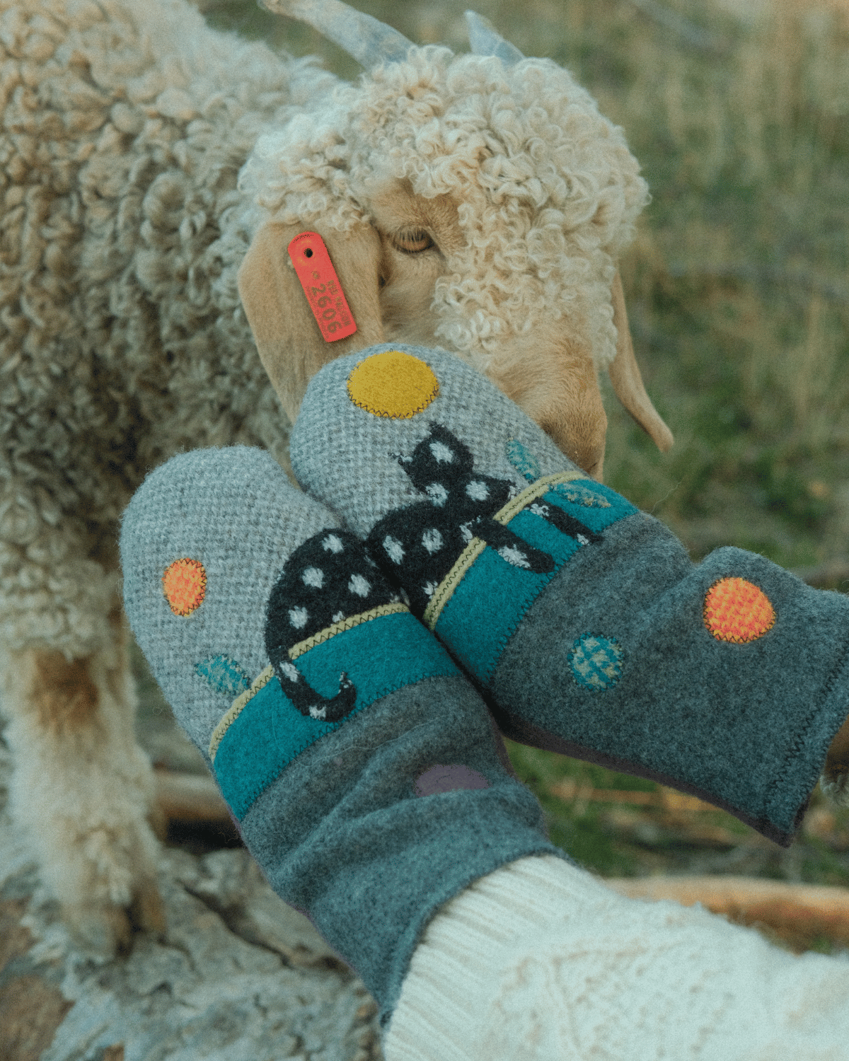 Wool Mittens