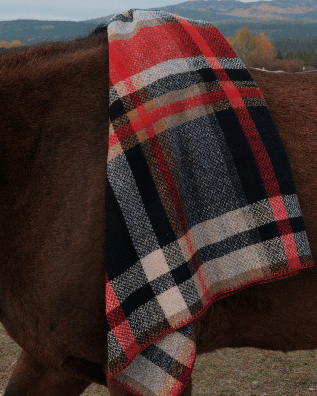Wool Throw Blanket